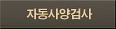 자동사양검사