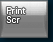 Print Screen Ű