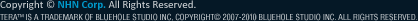 Copyright NHN Corp. All rights reserved. TERA™ IS A TRADEMARK OF BLUEHOLE STUDIO INC, COPYRIGHT© 2007-2010 BLUEHOLE STUDIO INC. ALL RIGHTS RESERVED.