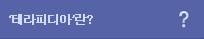 테라피디아란?