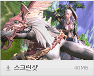 스크린샷 : 40MB