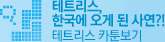 테트리스 카툰보기