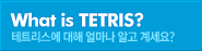 테트리스에 대해 얼마나 알고 계세요?