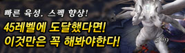 이제부터 시작이다! 45레벨 이후에 해볼 것들!